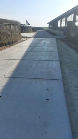 Afbeelding van WhatsApp op 2025-10-21 om 14.49.23_58bb3c8b.jpg